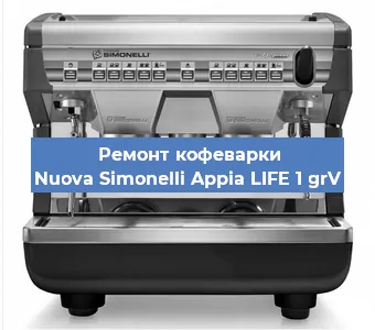 Чистка кофемашины Nuova Simonelli Appia LIFE 1 grV от накипи в Волгограде